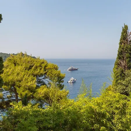 Cypress * Dubrovnik